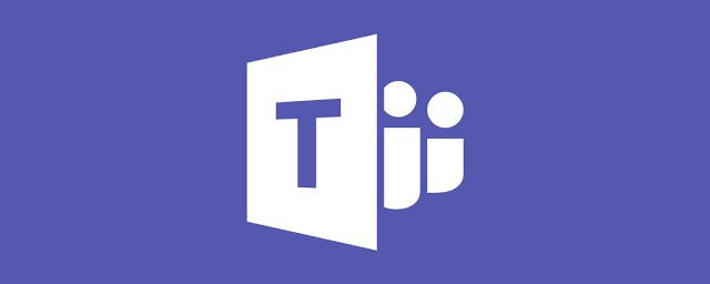 Microsoft TEAM Basis training